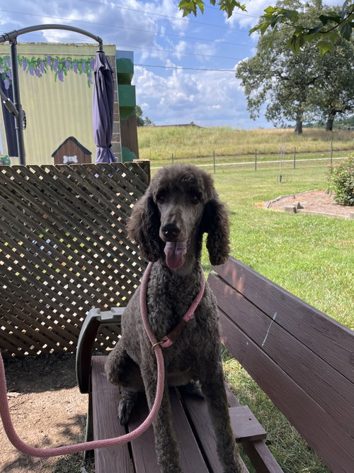 Shiloh Jul 26 photo 6