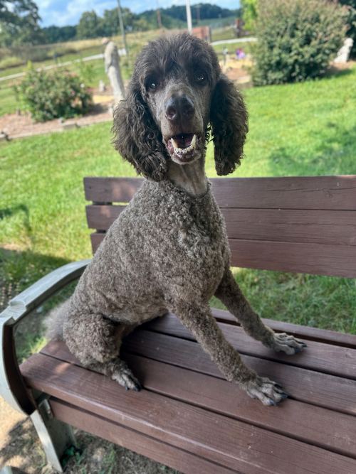 Shiloh Jul 26