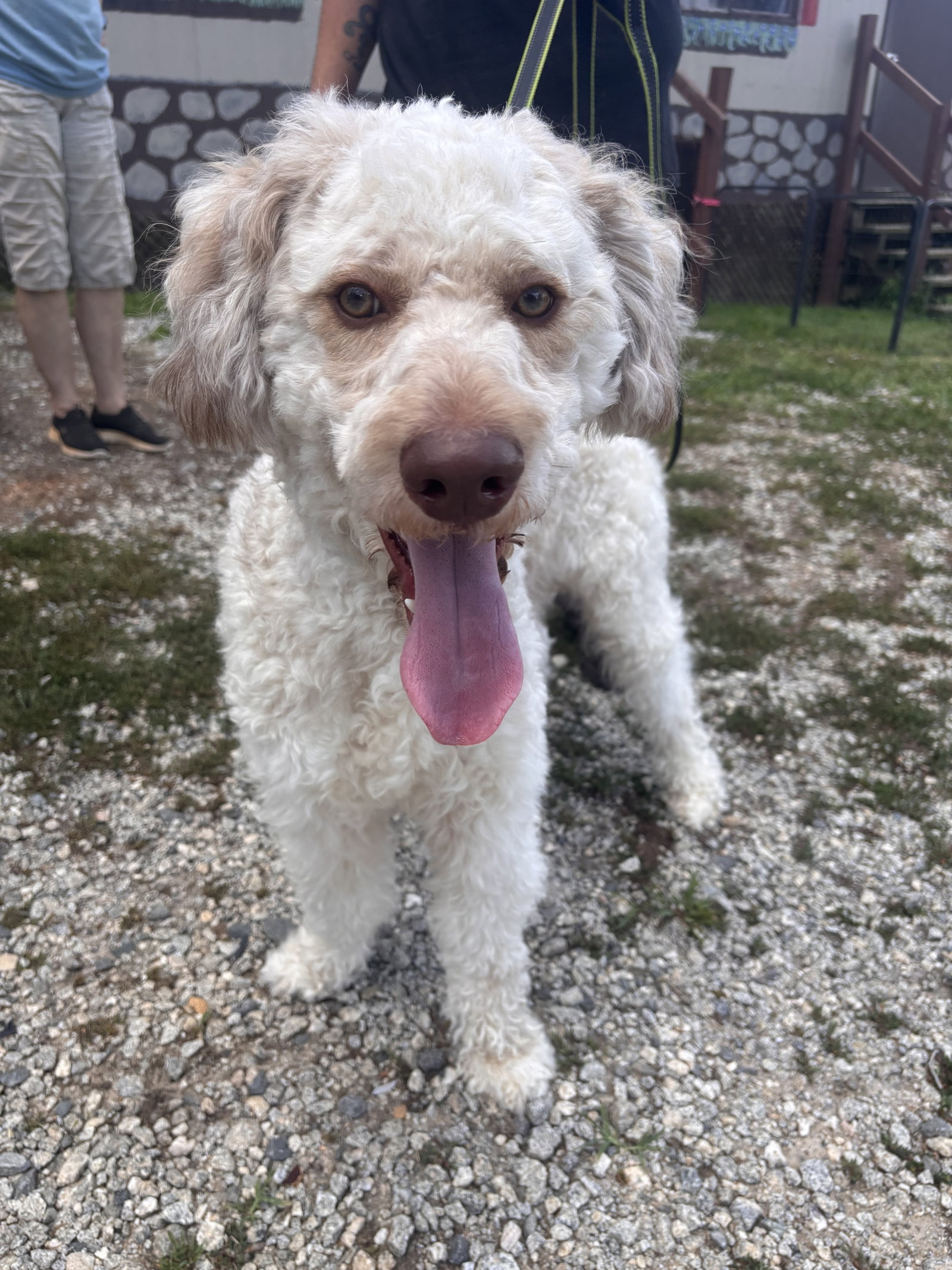Photo 9 of 9 — Snickers Jul 26