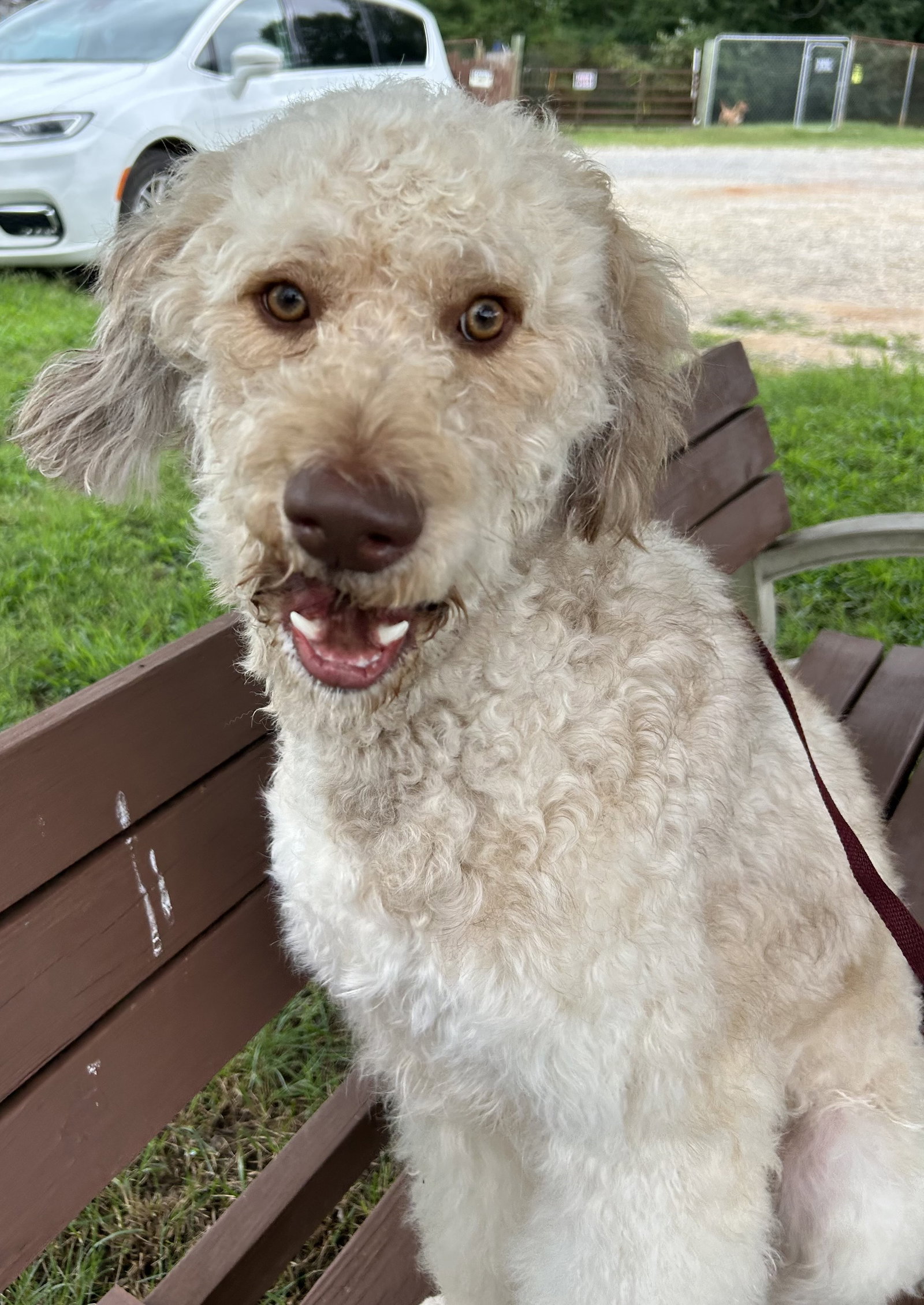 Photo 5 of 9 — Snickers Jul 26