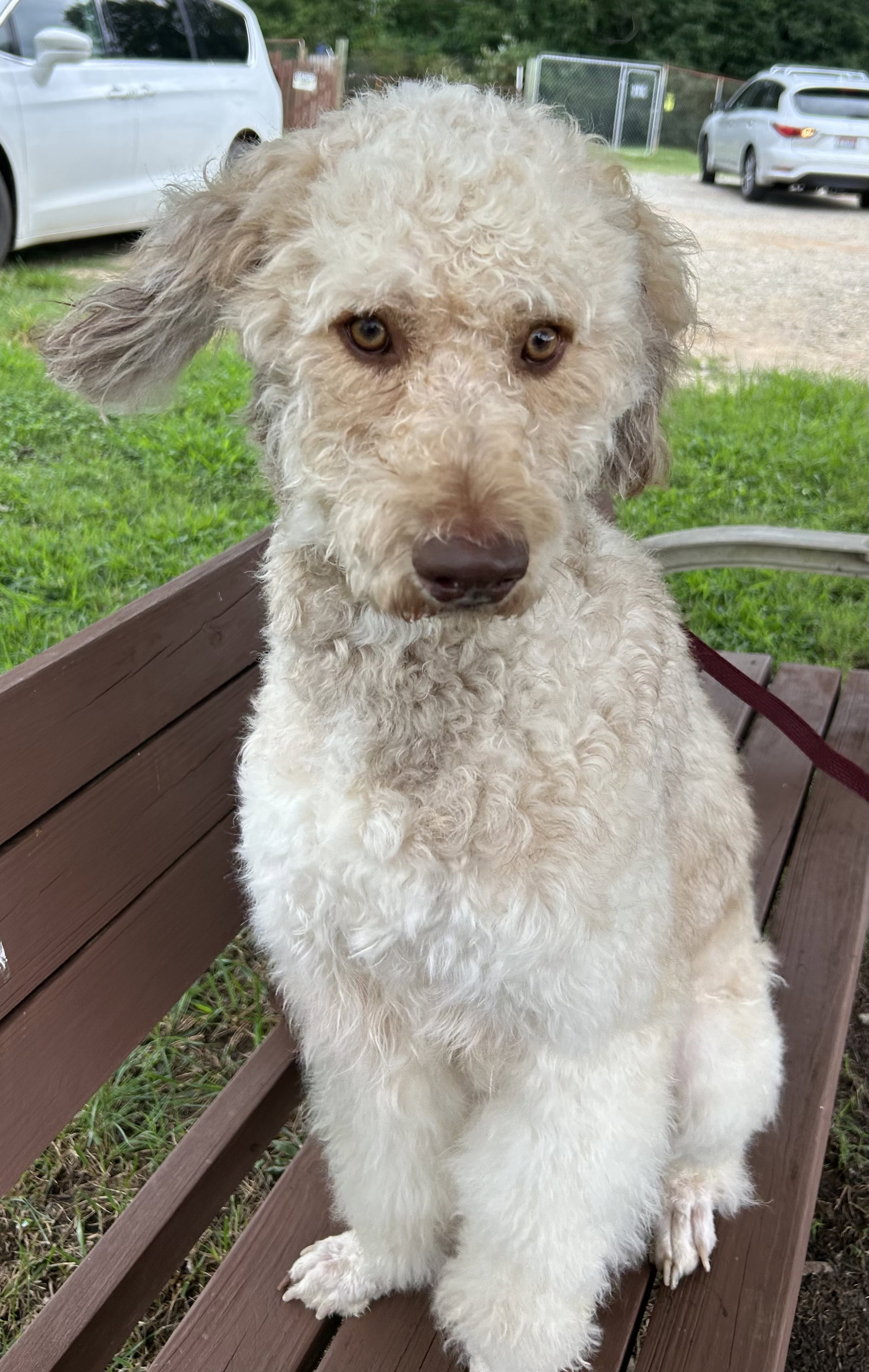 Photo 3 of 9 — Snickers Jul 26