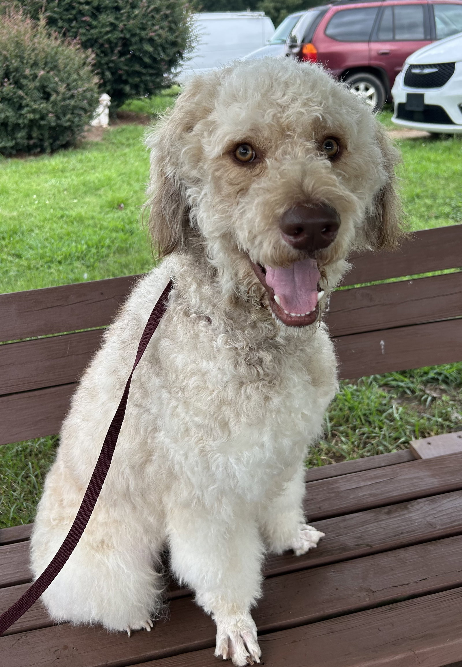 Photo 7 of 9 — Snickers Jul 26
