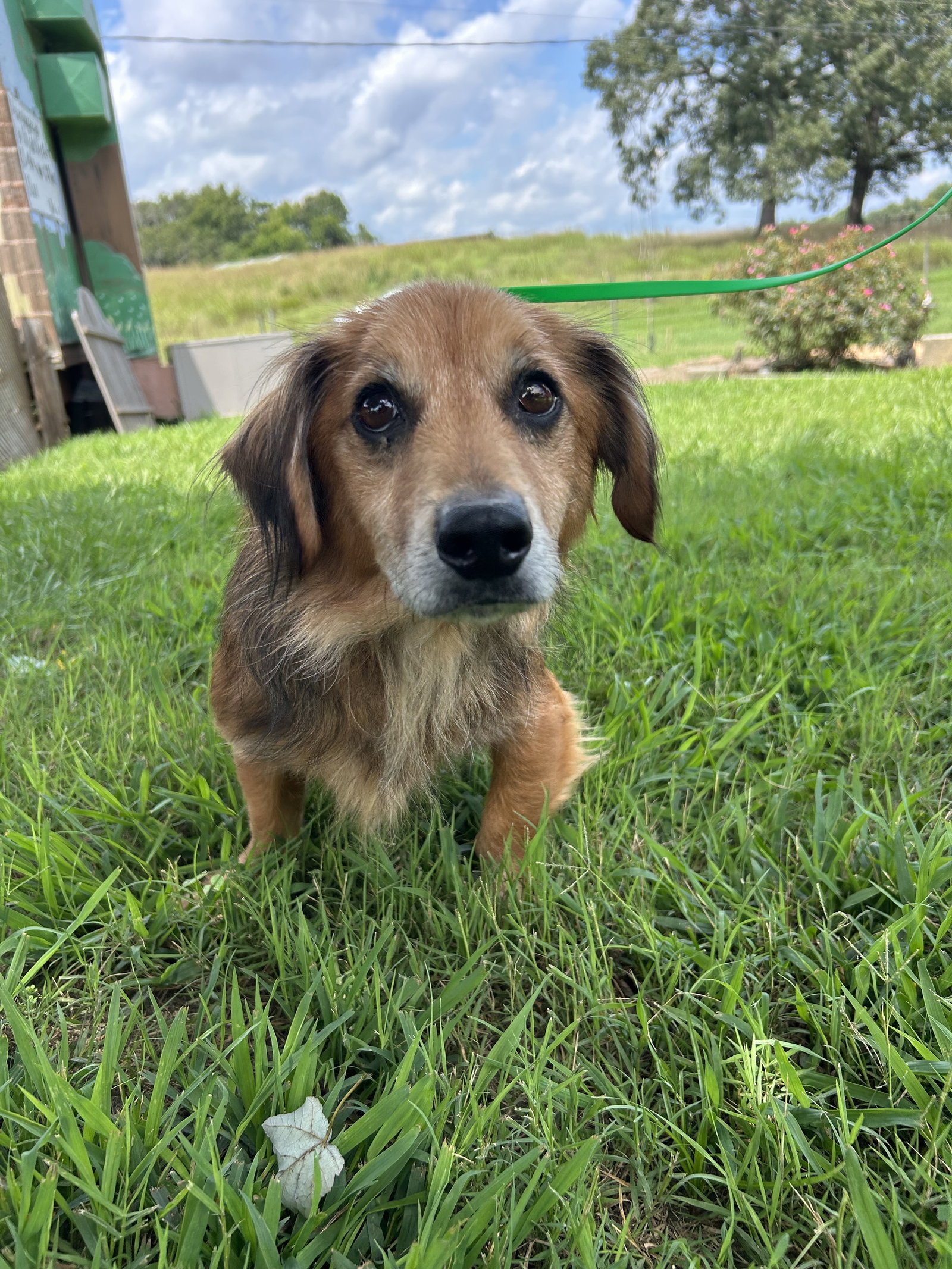 Photo 4 of 7 — Mocha Jul 26