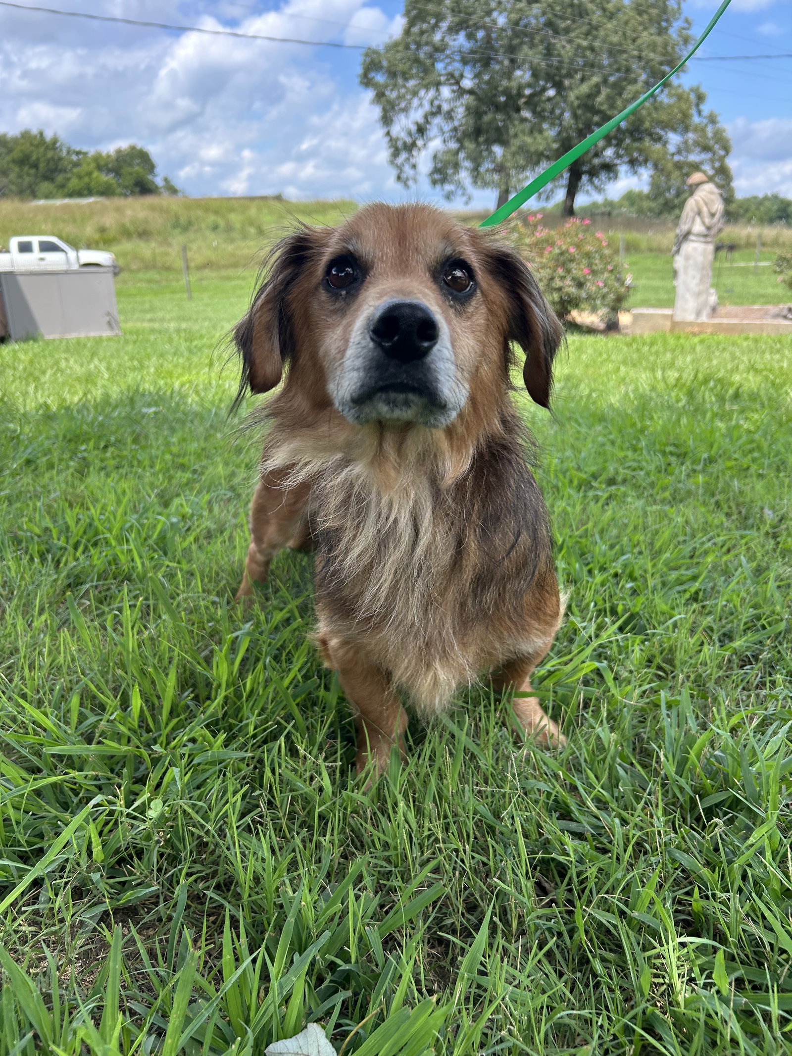 Photo of Mocha Jul 26