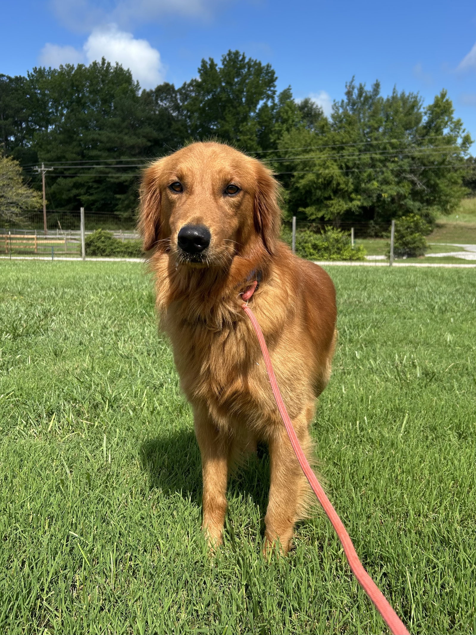 Photo 2 of 6 — Max Jul 26