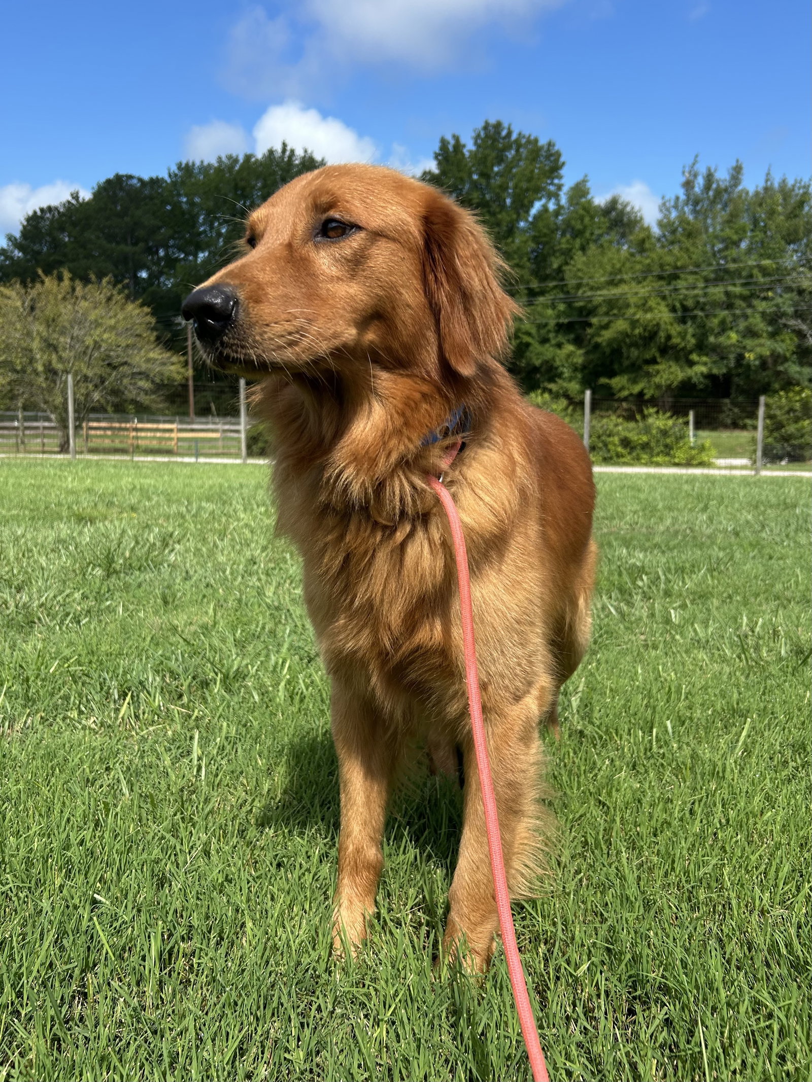 Photo 4 of 6 — Max Jul 26