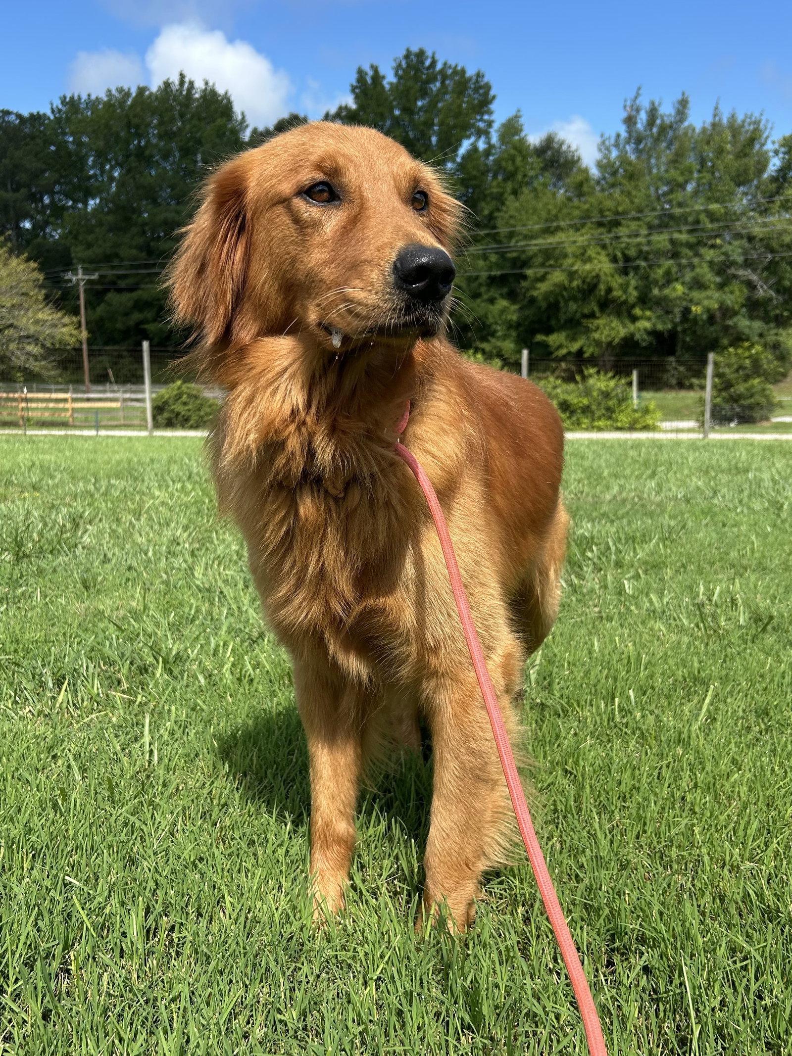 Photo 5 of 6 — Max Jul 26