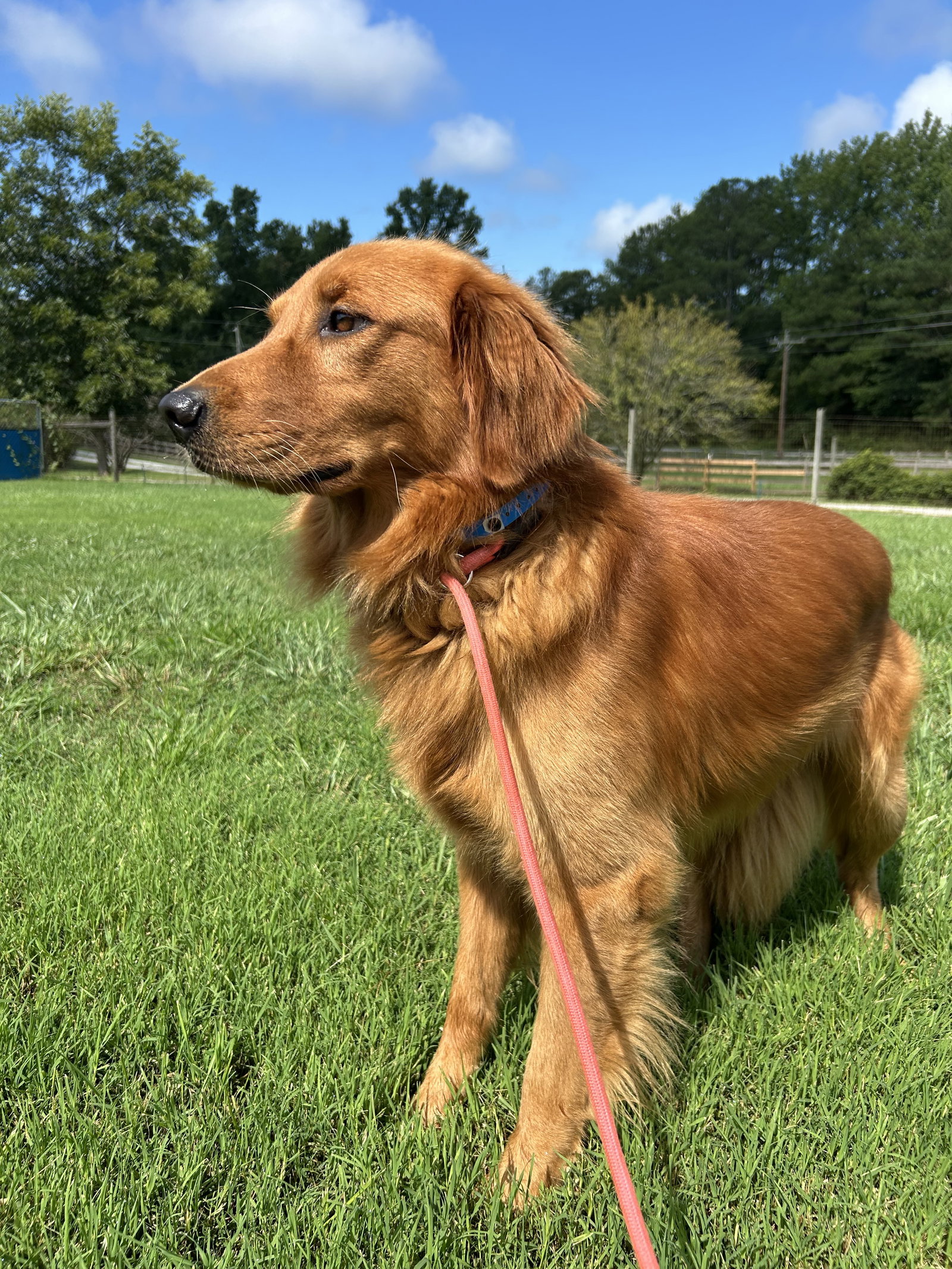 Photo 3 of 6 — Max Jul 26