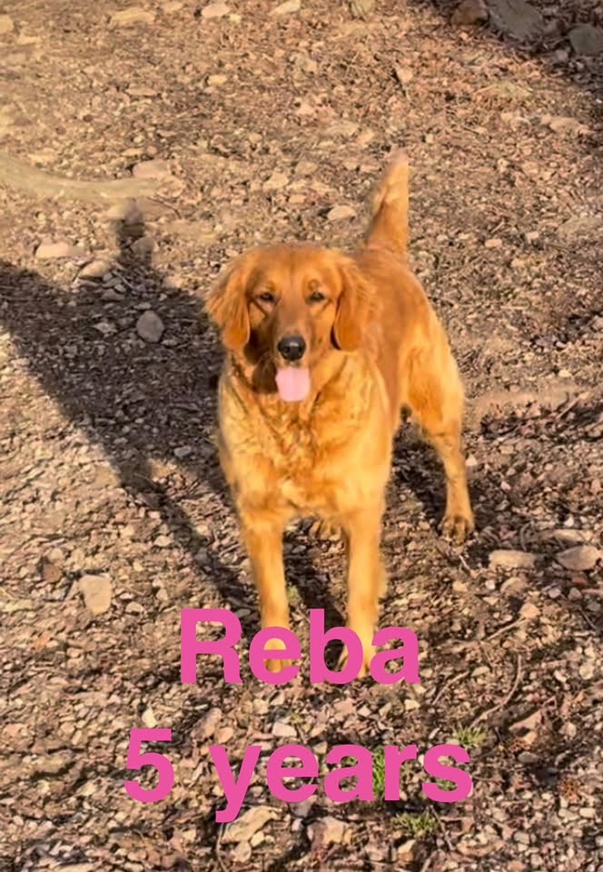 Photo 8 of 8 — Reba Jul 26