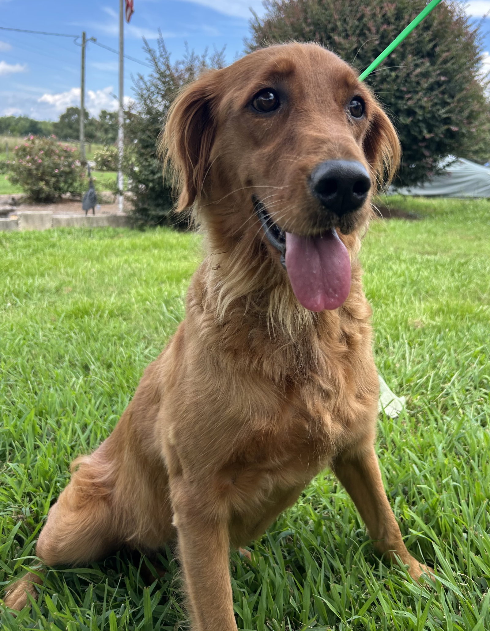Photo 7 of 8 — Reba Jul 26