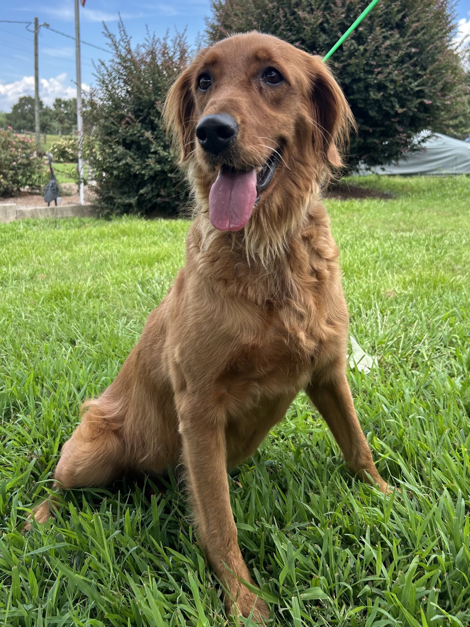 Photo 5 of 8 — Reba Jul 26