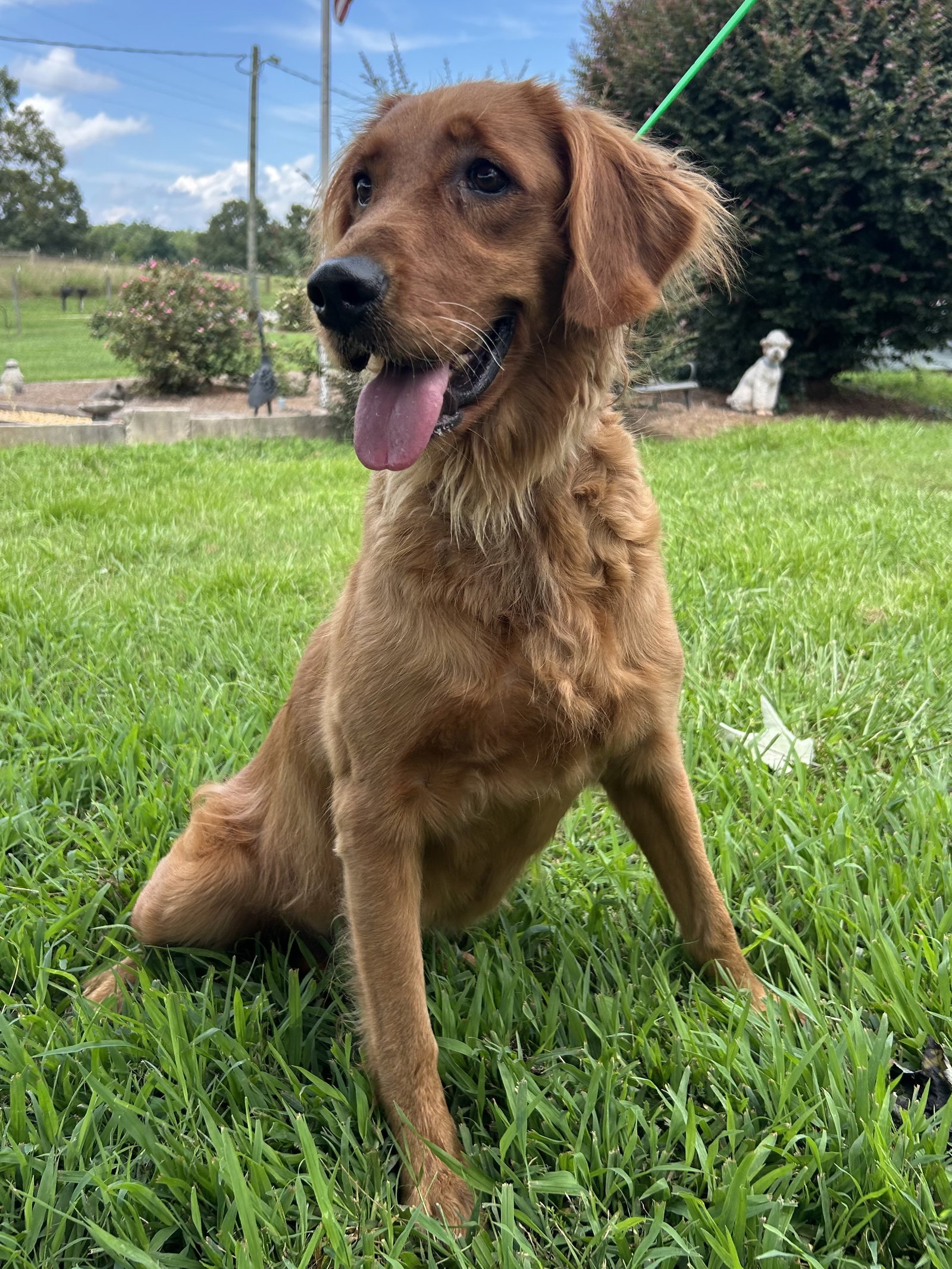 Photo 6 of 8 — Reba Jul 26
