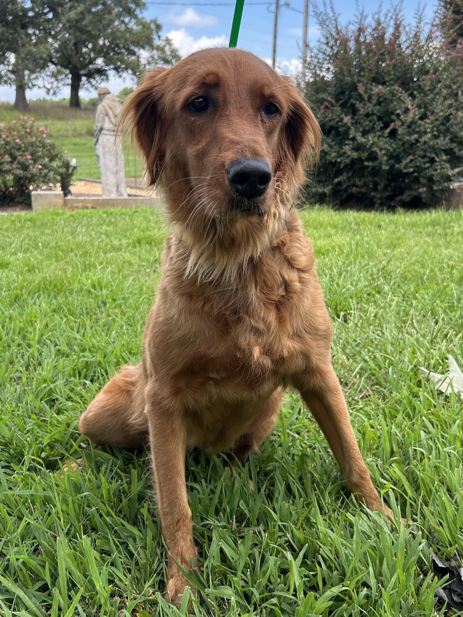Photo 2 of 8 — Reba Jul 26