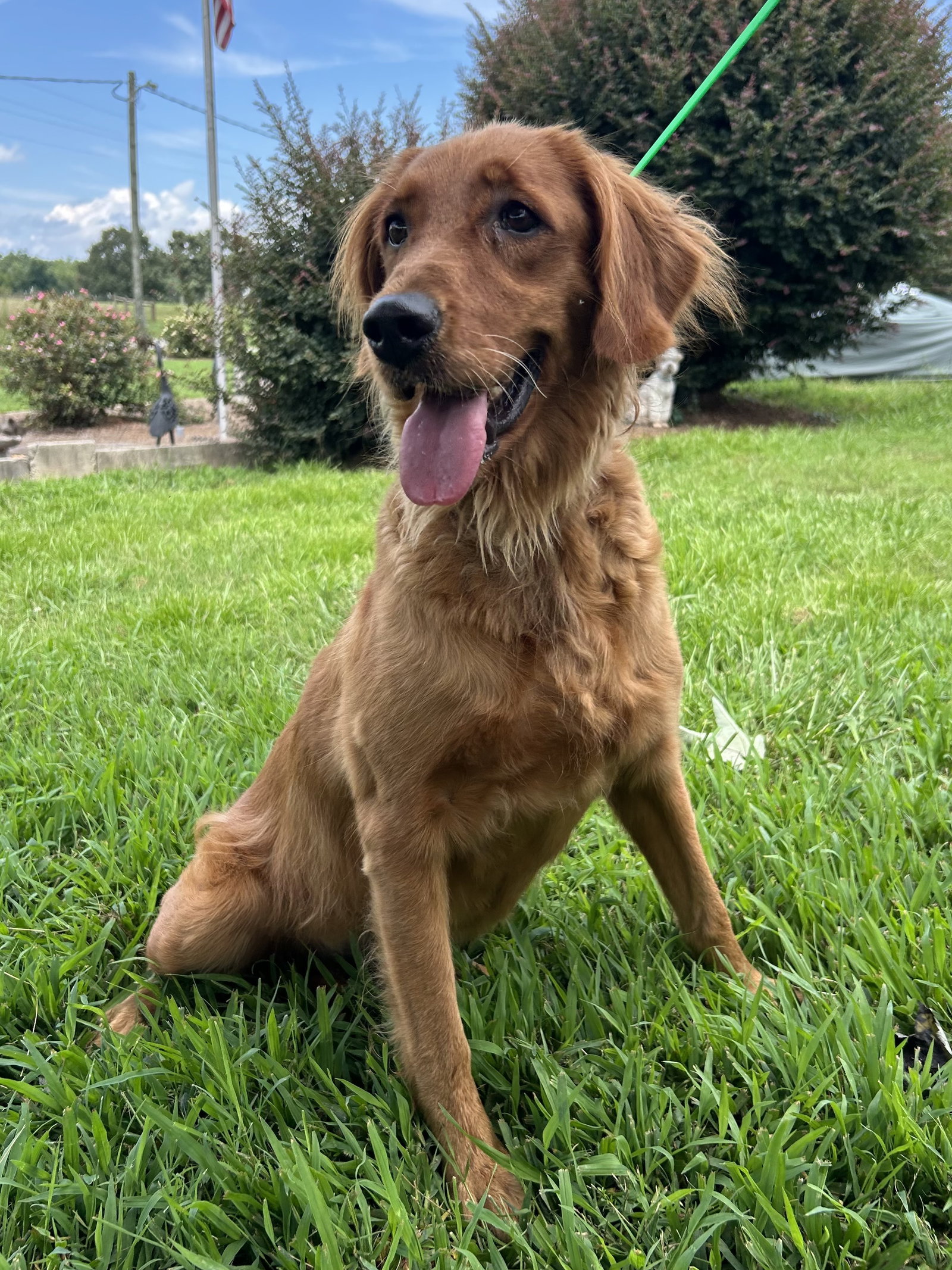 Photo 3 of 8 — Reba Jul 26