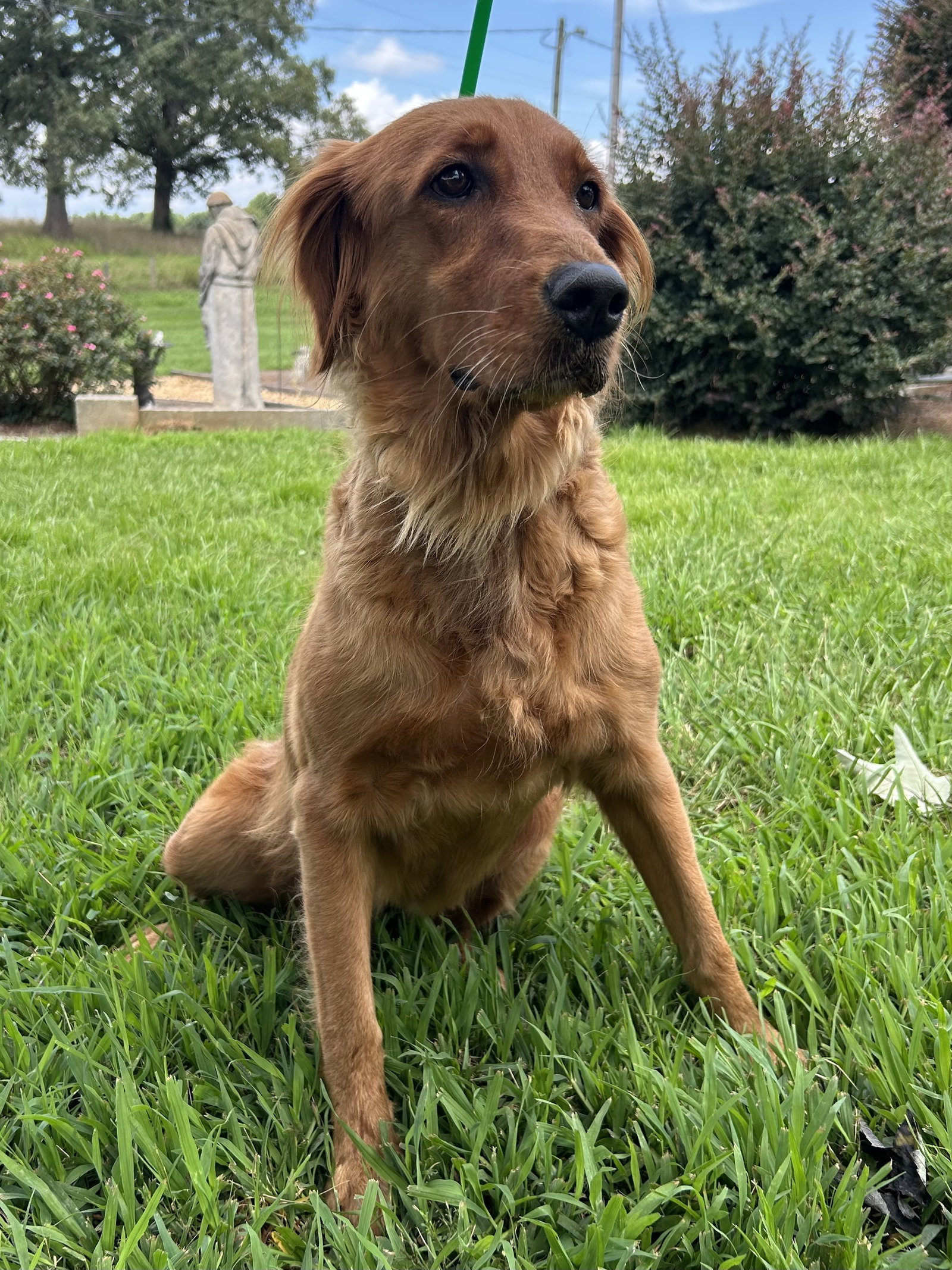 Photo 4 of 8 — Reba Jul 26
