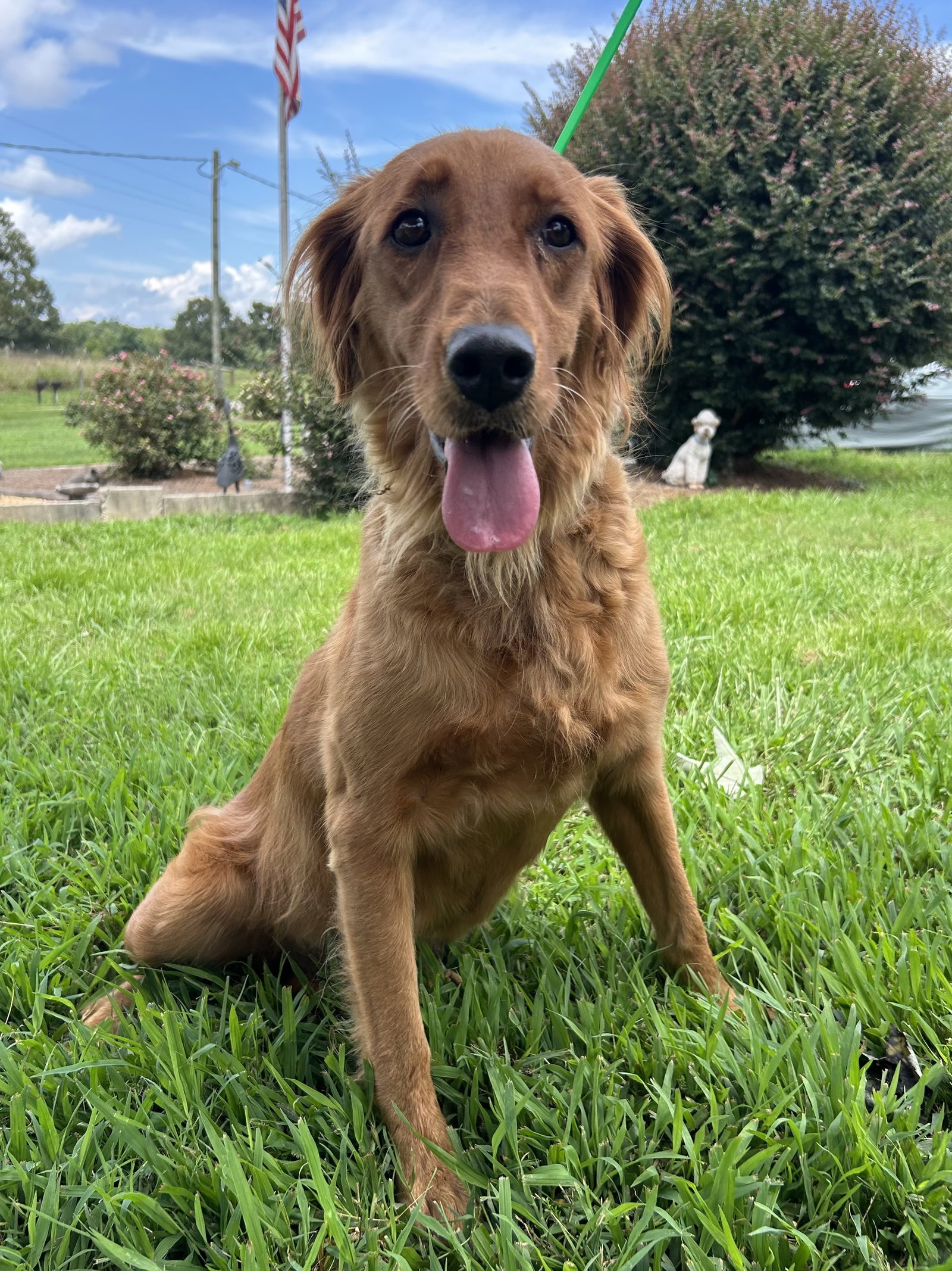 Photo of Reba Jul 26