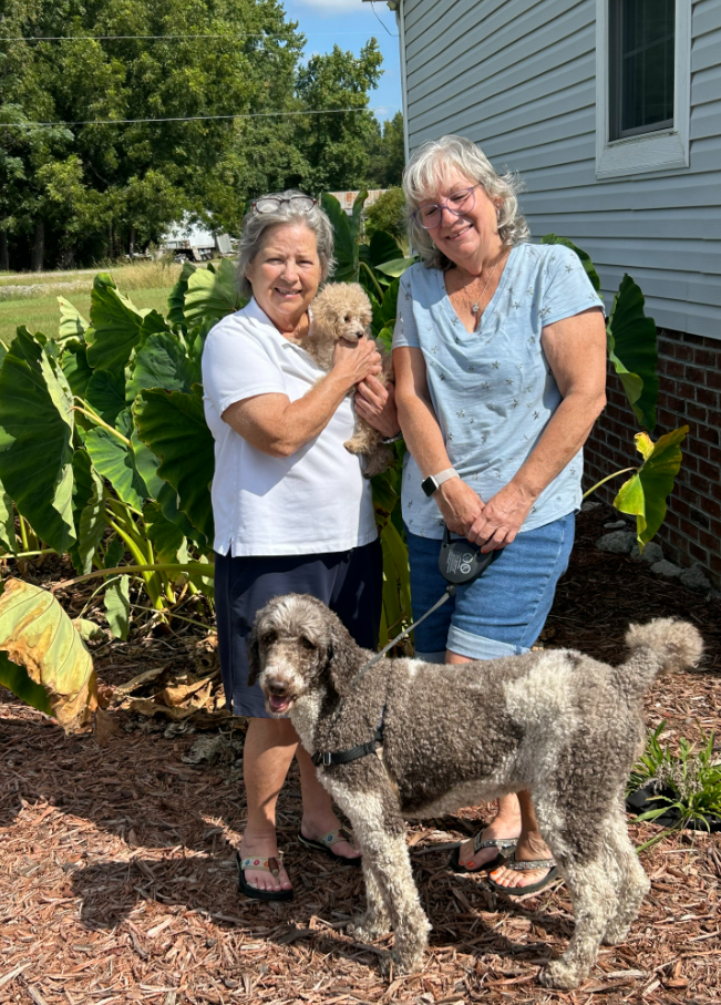 Photo 1 of 8 — Kali - In Foster in Rocky Mount, NC