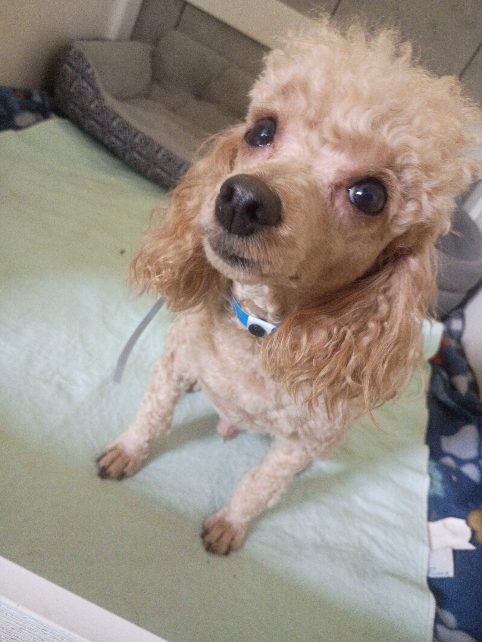 Photo 6 of 6 — Jasper Jul 26
