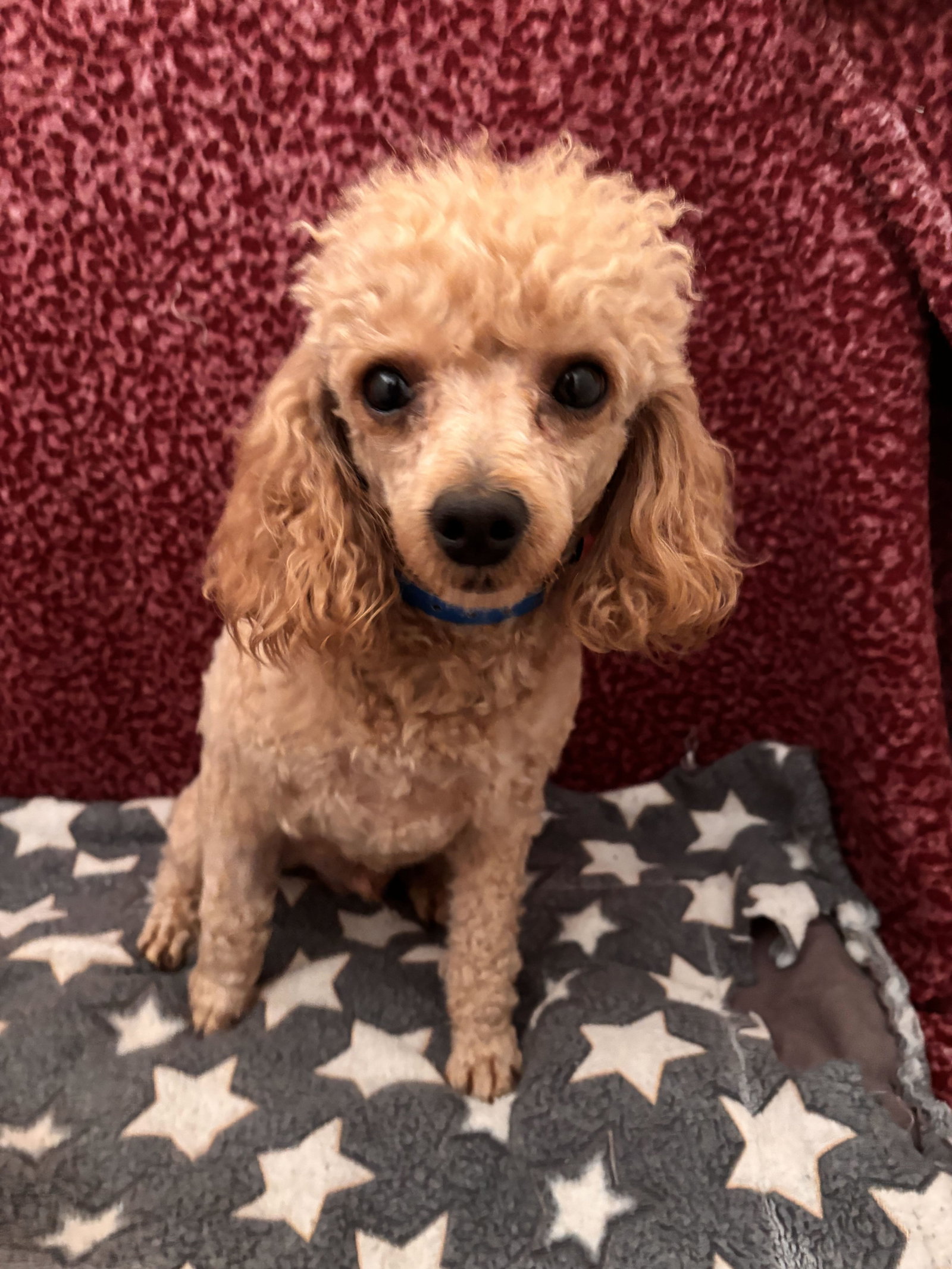 Photo 4 of 6 — Jasper Jul 26