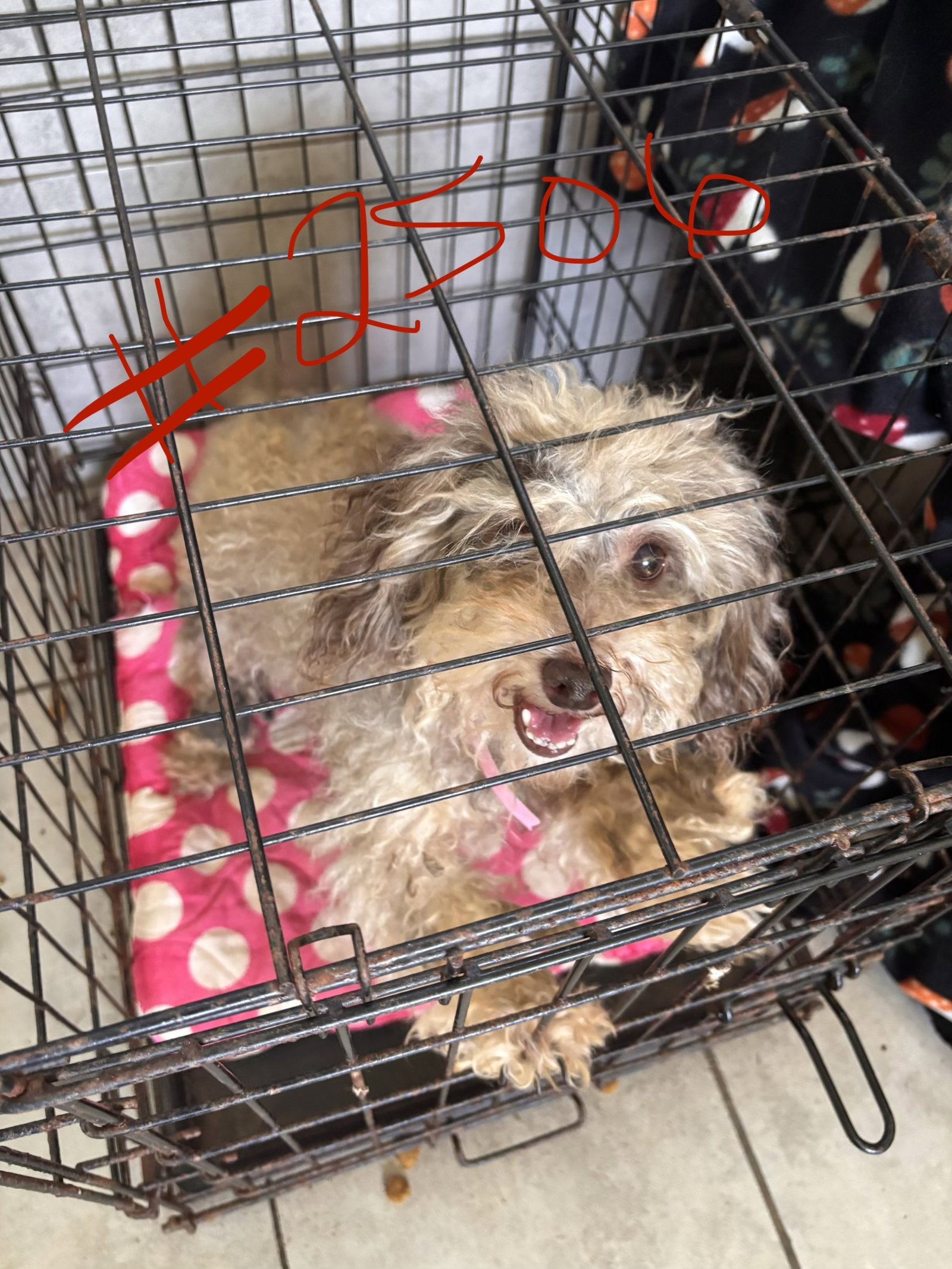 Photo 5 of 5 — Arlo Jul 26