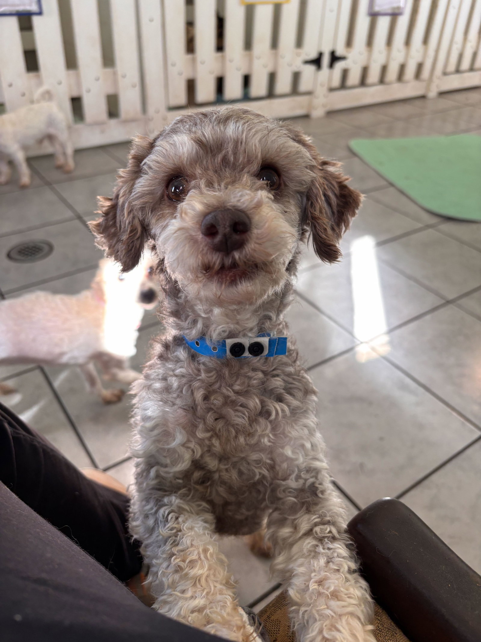Photo of Arlo Jul 26