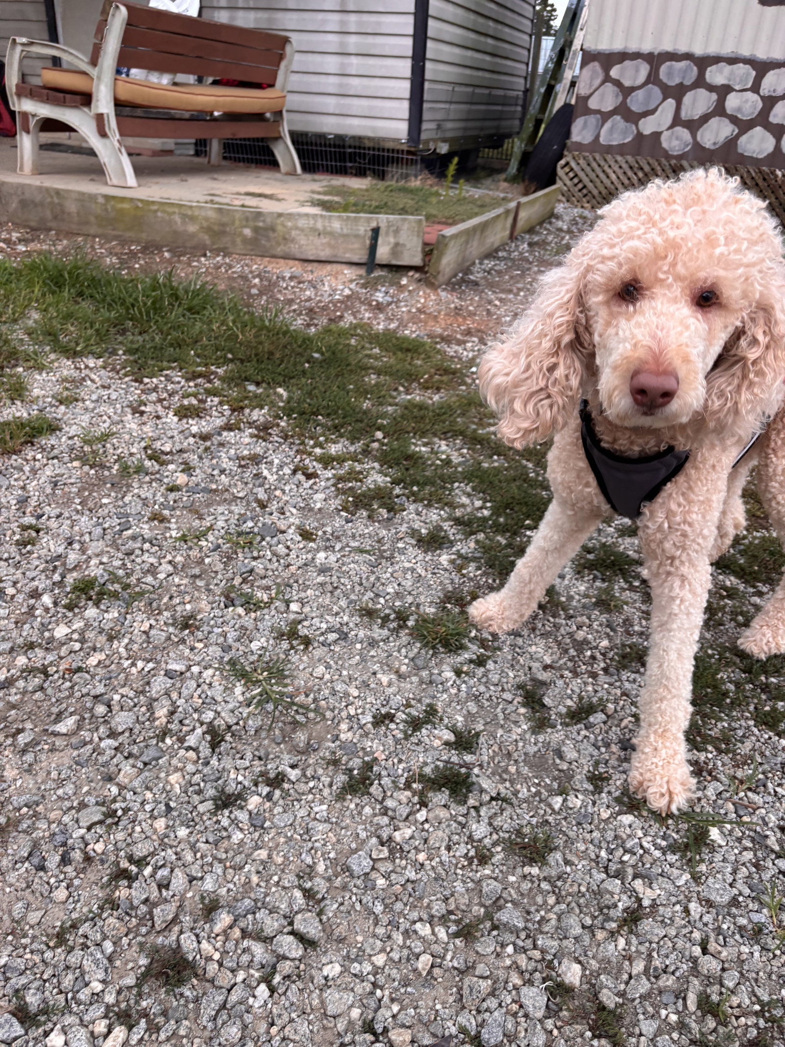 Photo 6 of 6 — Finley Jul 26