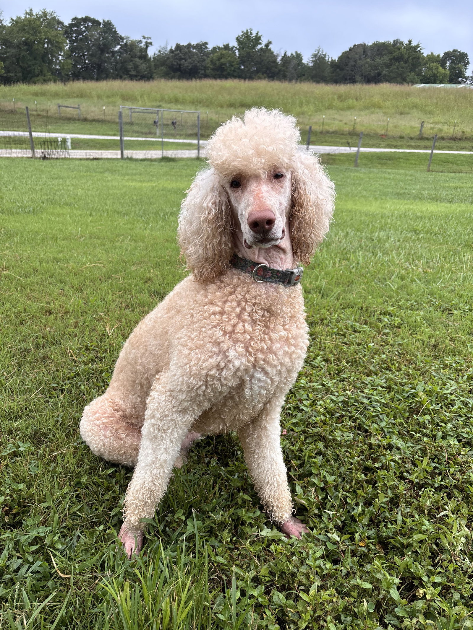Photo 3 of 6 — Finley Jul 26