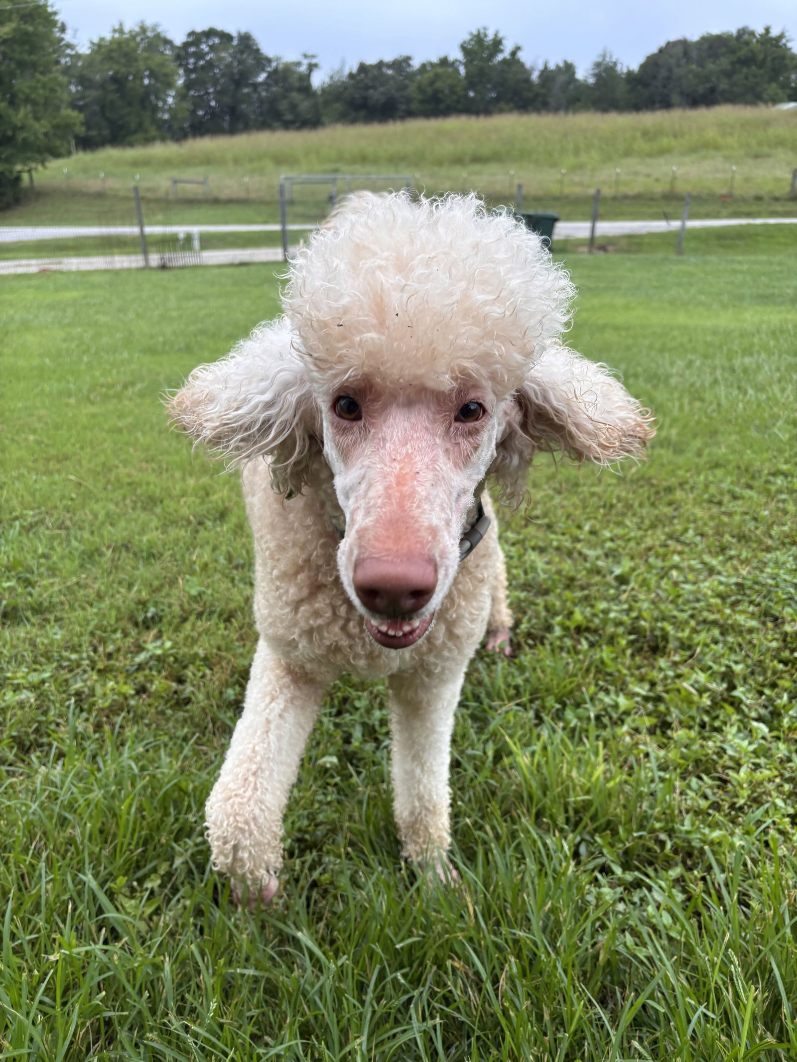 Photo 2 of 6 — Finley Jul 26