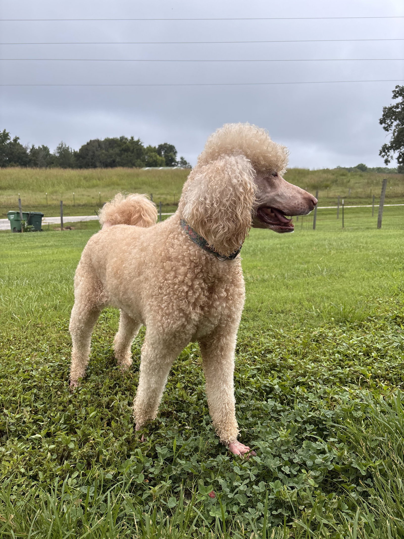 Photo 4 of 6 — Finley Jul 26