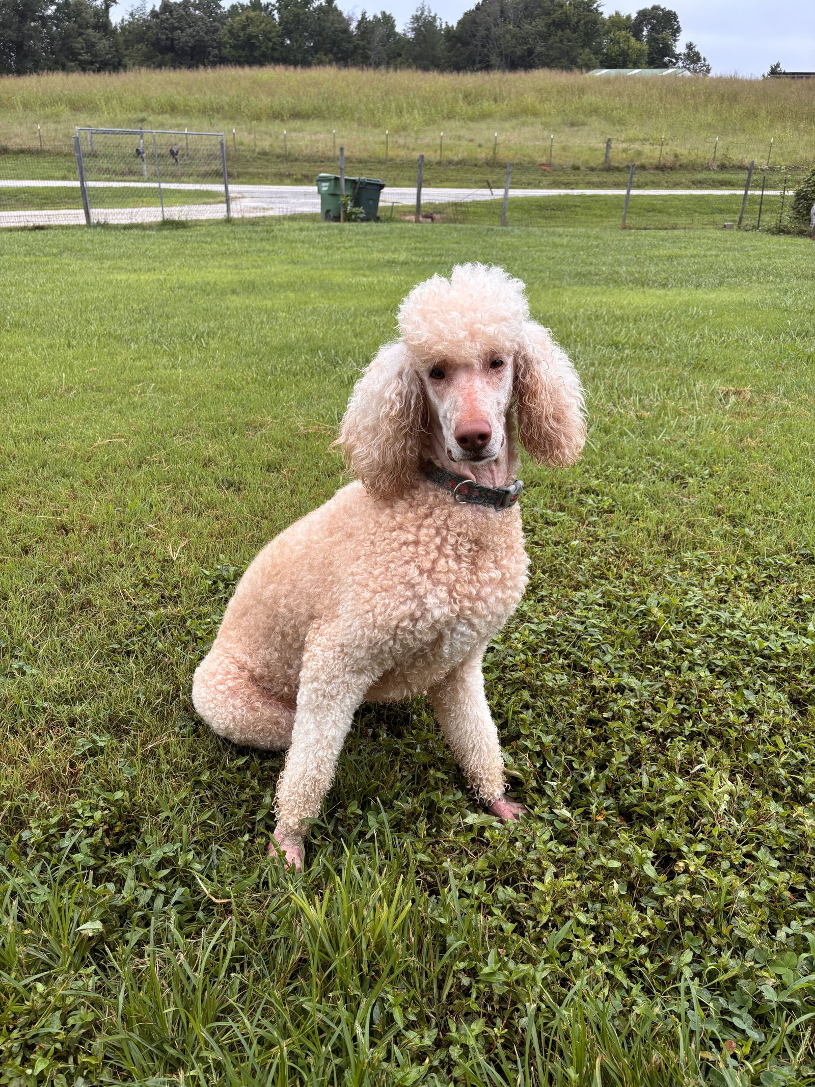 Photo 5 of 6 — Finley Jul 26