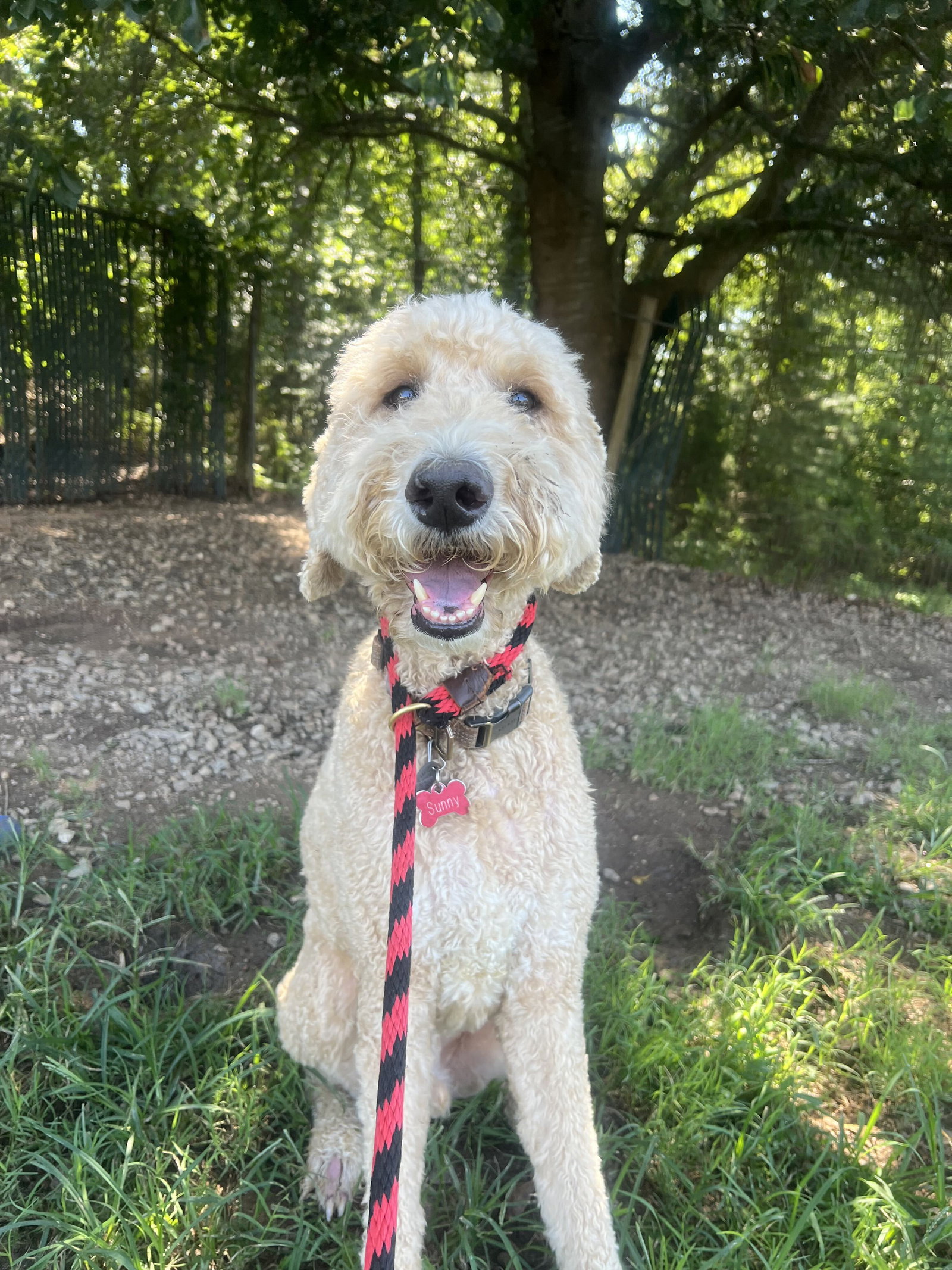 Photo 5 of 5 — Sunny Jul 26