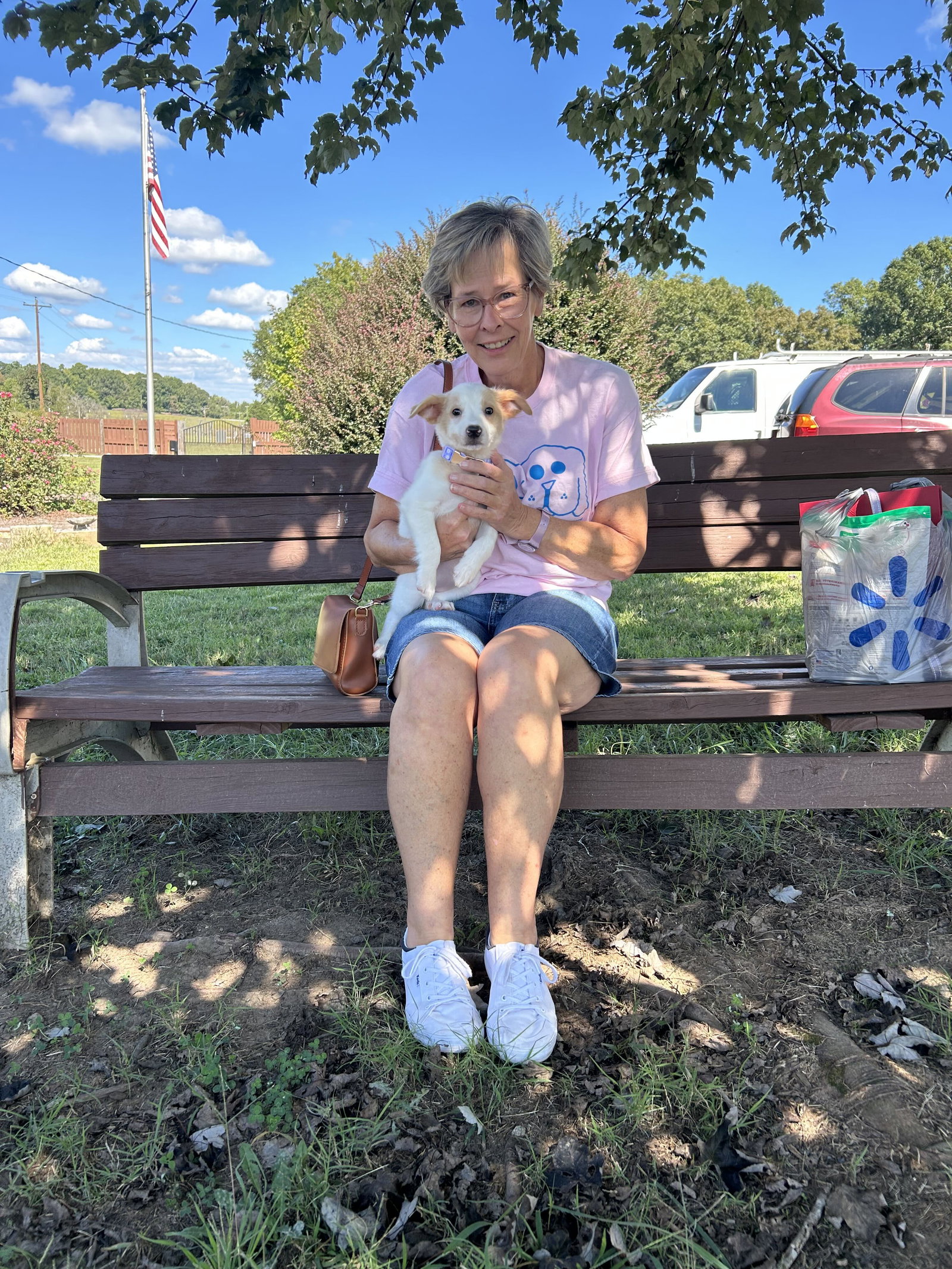 Photo 1 of 6 — Hibiscus Jul 26 - An Annie Pup