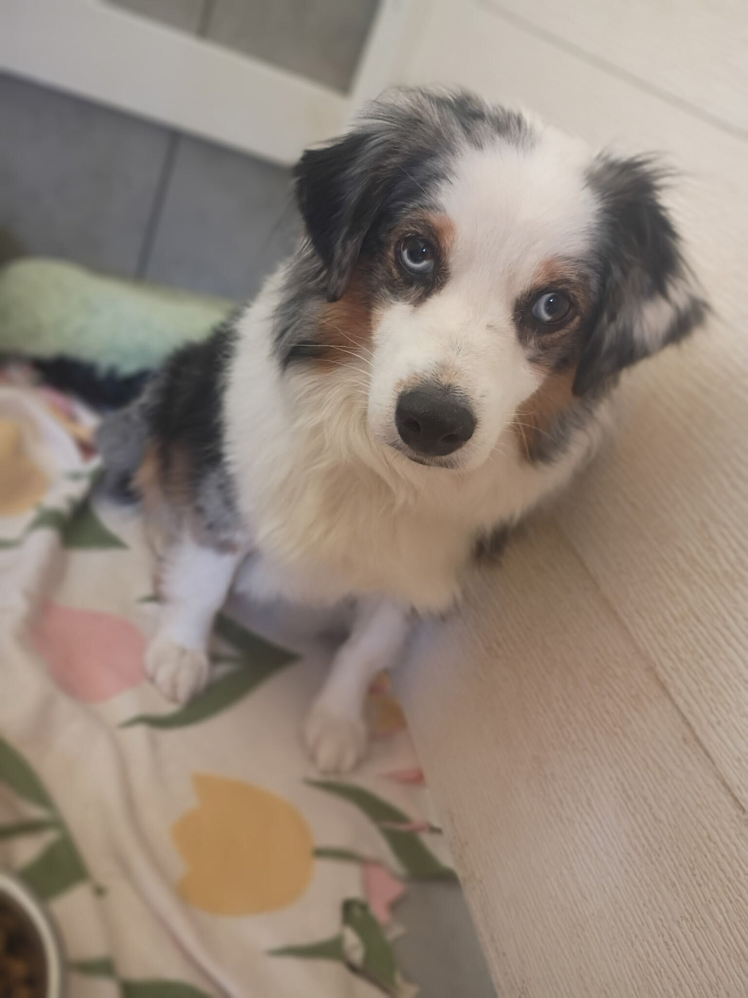 Photo 3 of 4 — Chloe Aug 26
