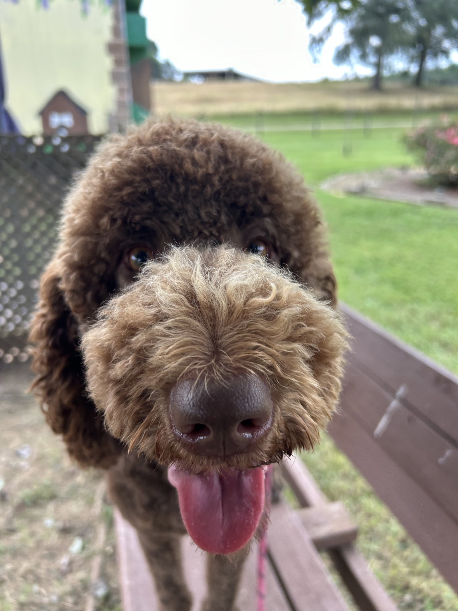 Photo 8 of 9 — Wrangler Aug 26