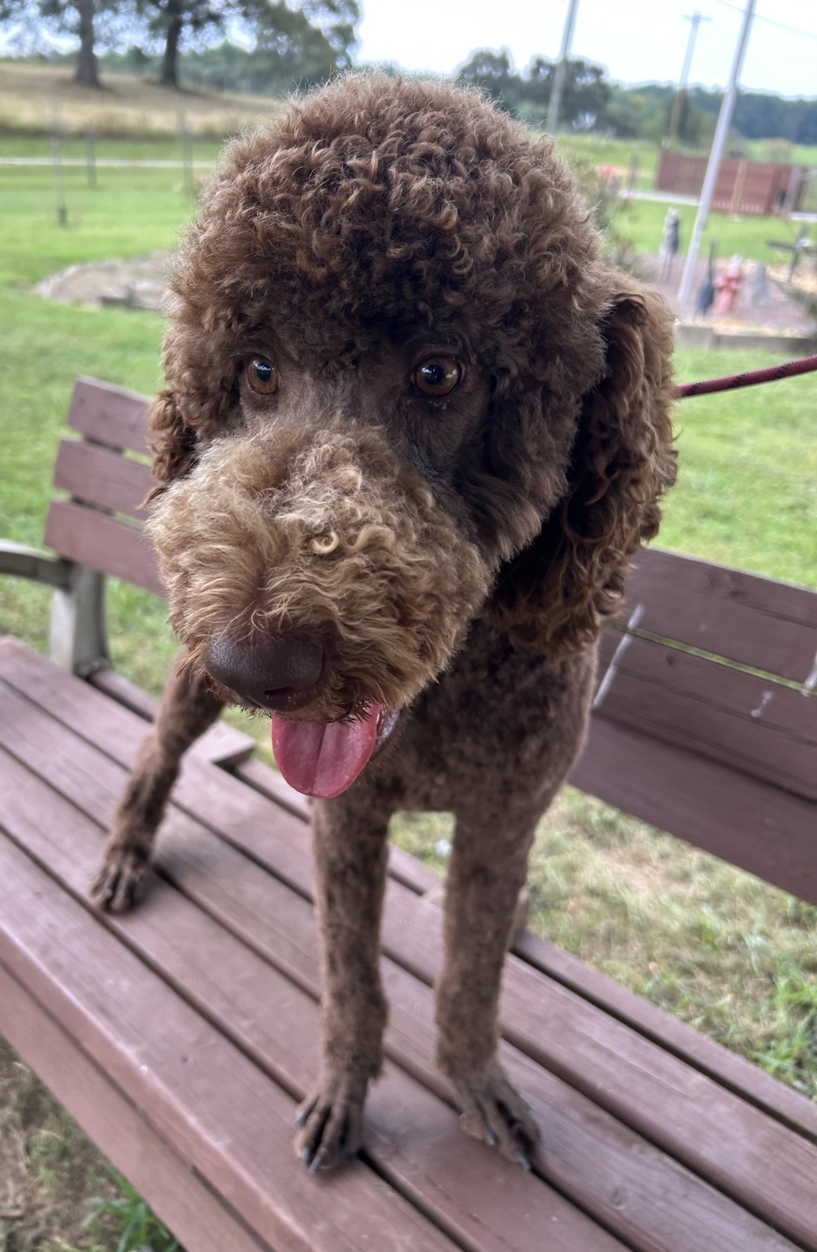 Photo 7 of 9 — Wrangler Aug 26