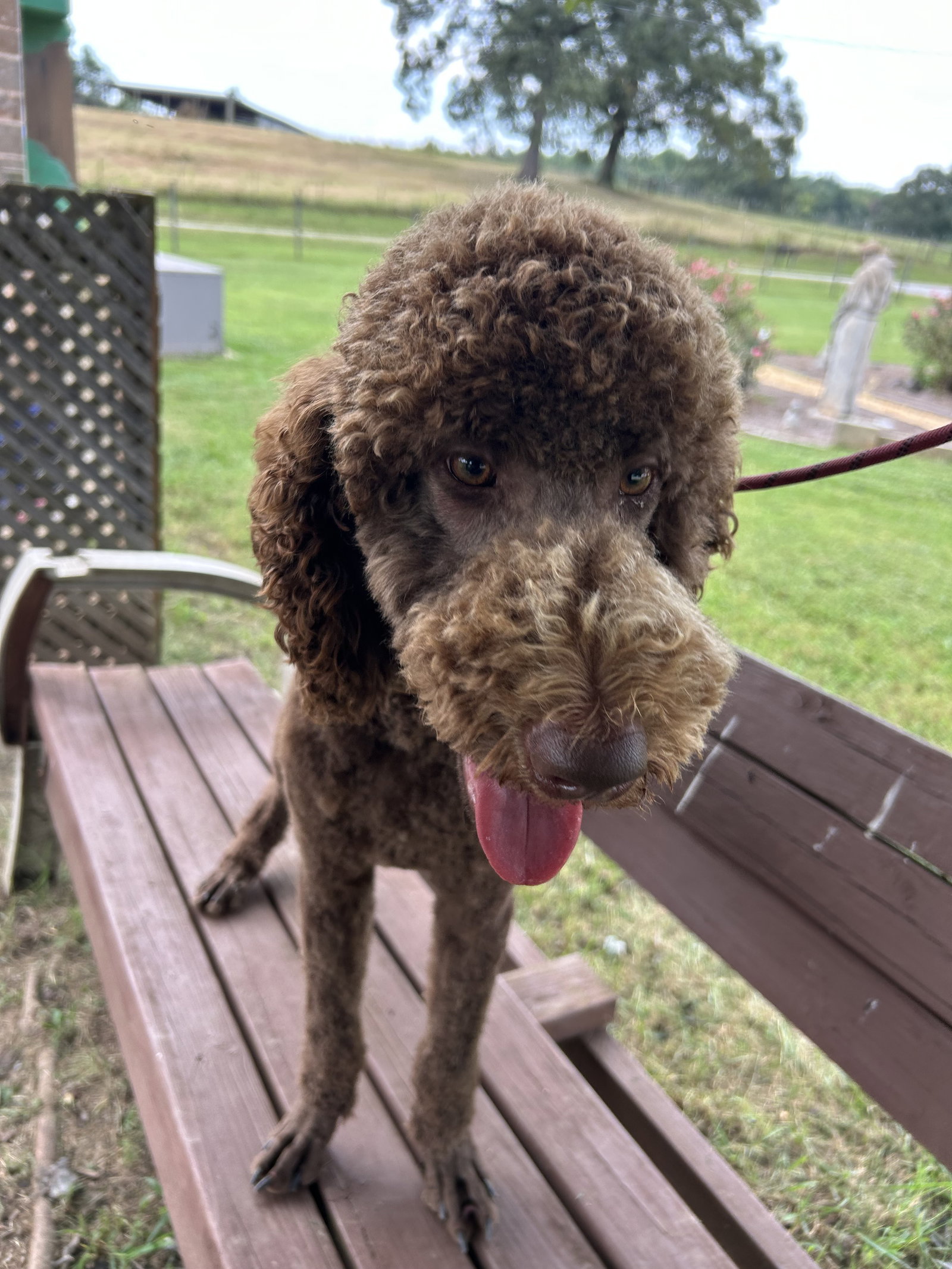 Photo 5 of 9 — Wrangler Aug 26