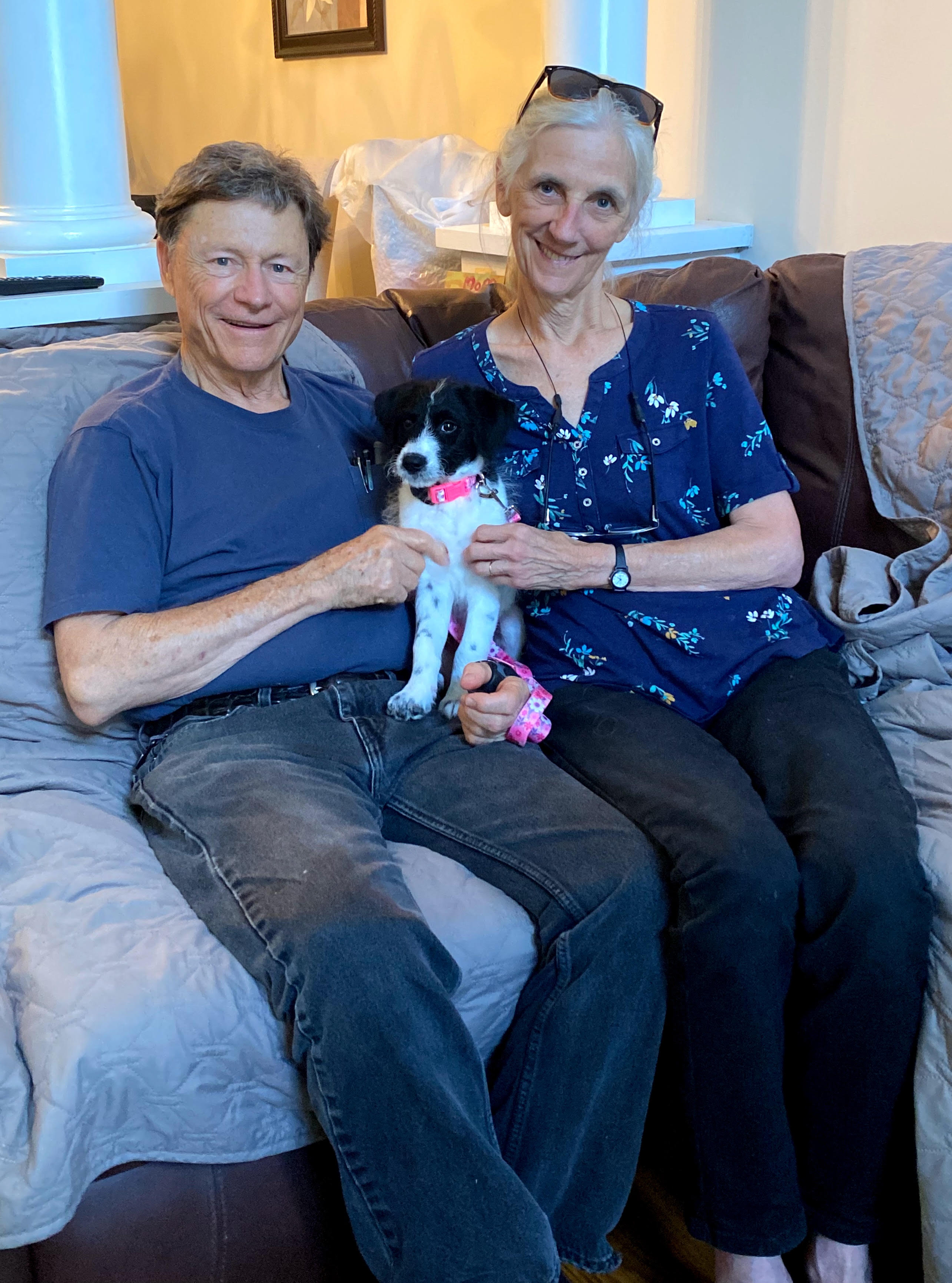Photo 1 of 4 — Kelly Sep 26 - In Foster in Cary, NC