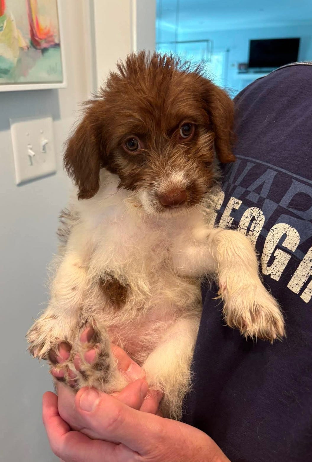 Photo of Julia Sep 26 - In Foster in Greensboro, NC