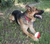 Tyson