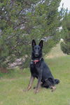 Cool Hand Luke