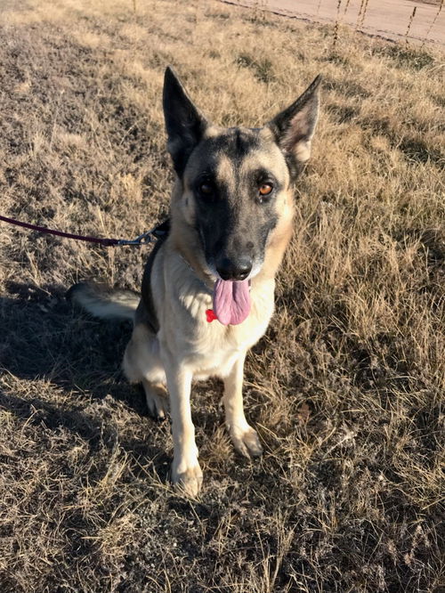 Eli