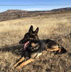 Axle