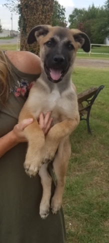 Jax