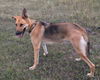 Ajax