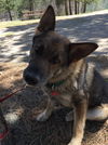 Rango