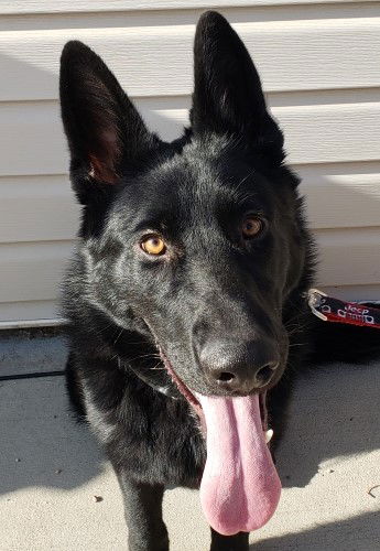 Ella