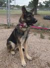 Kaizer