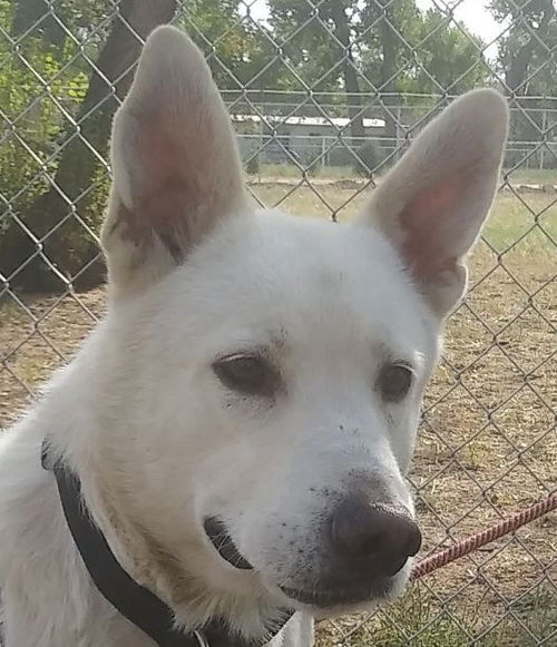 Casper
