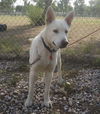 Casper