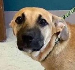 Hurricane Evette-NEEDS FOSTER
